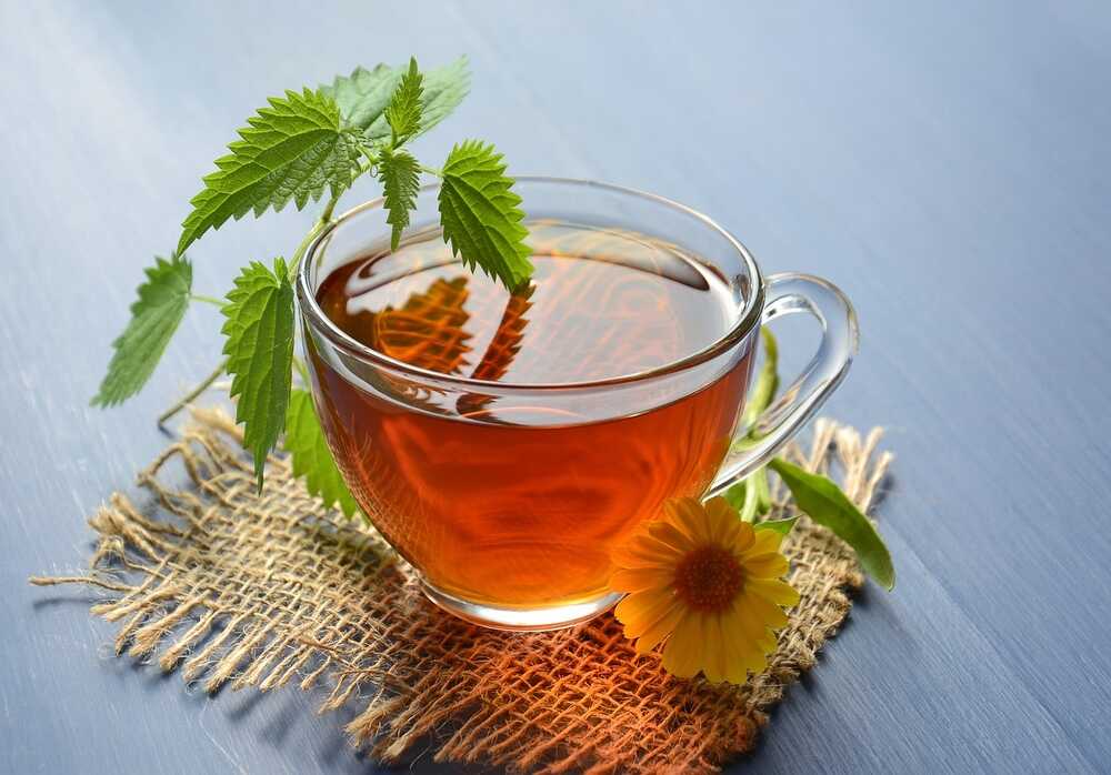 csalan tea