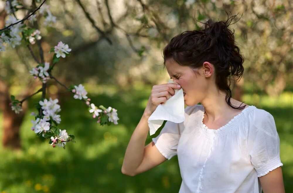 pollen allergia