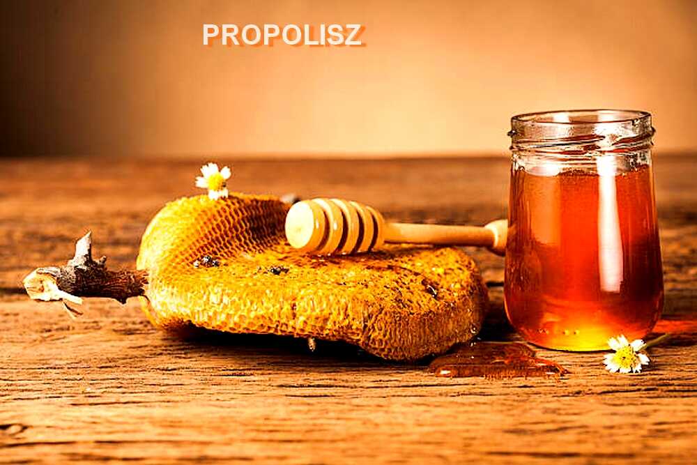 propolis mbe optimized.hu