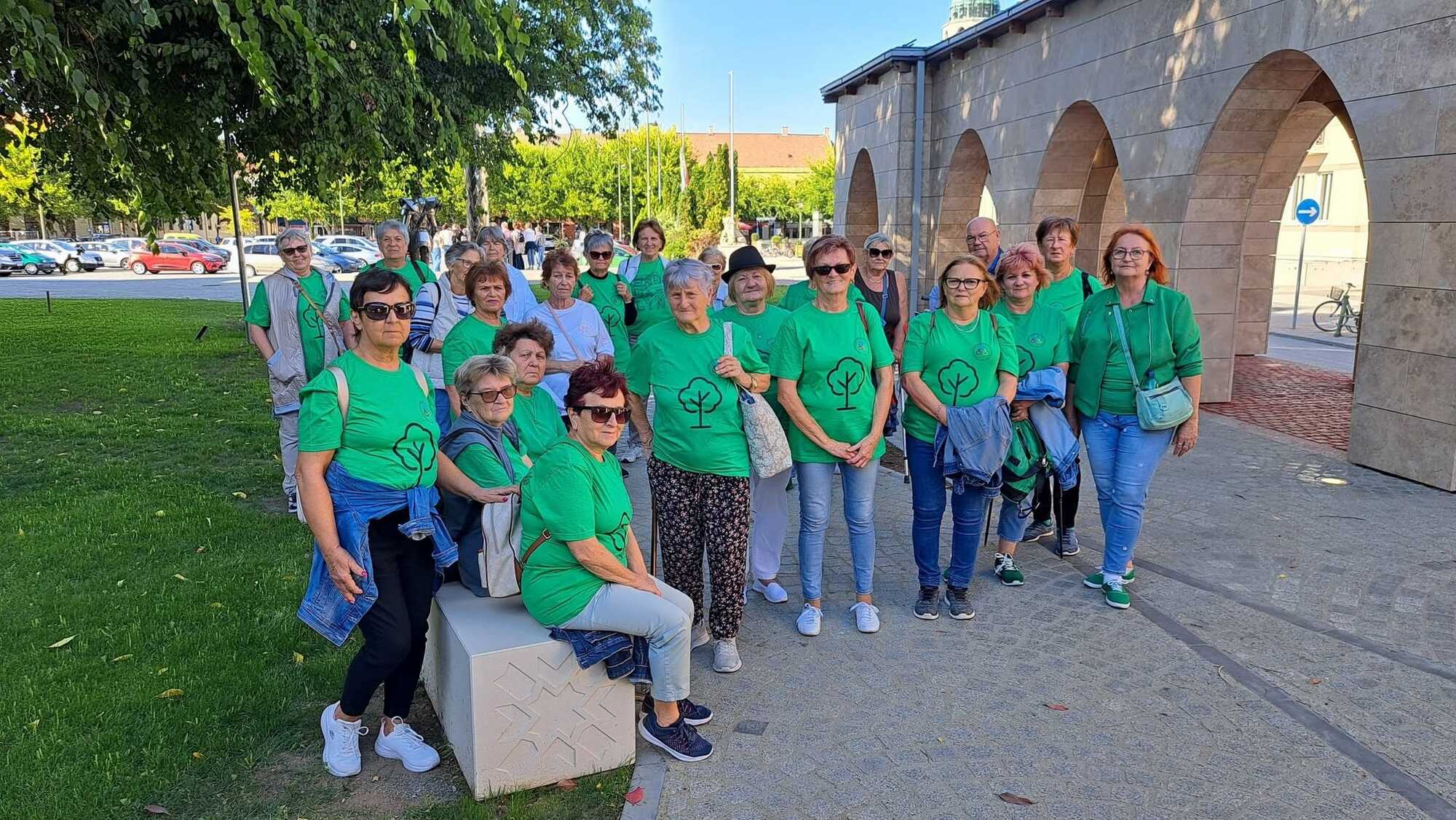 gyaloglonap mohcsop 2026.10