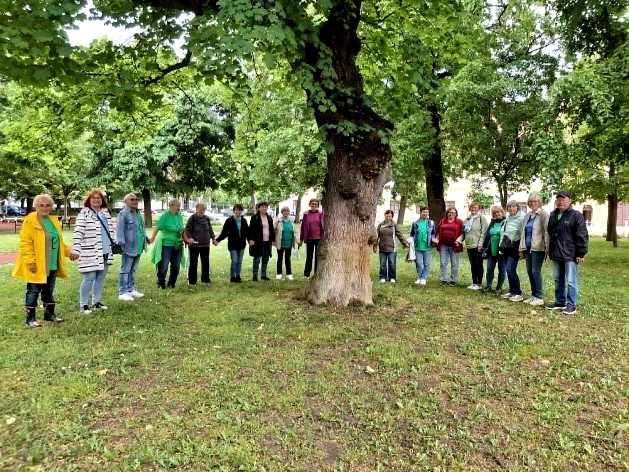 gyaloglonap szepesy park nohcsop 2026.05